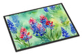 Texas Bluebonnets in Watercolor Doormat